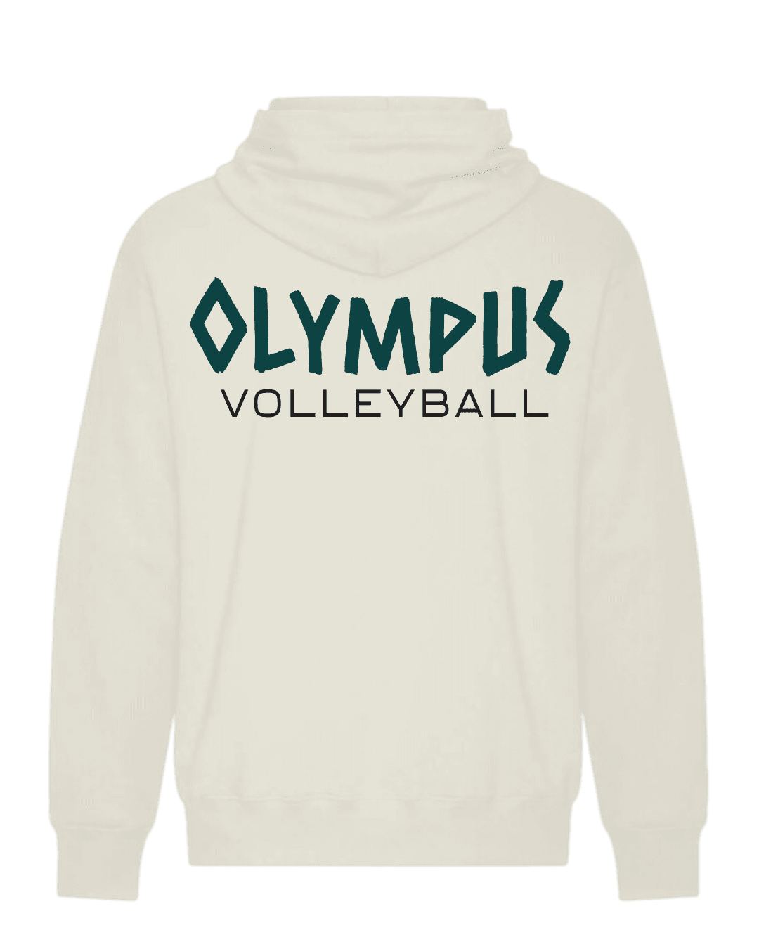 Pantheon Hoodie — Back