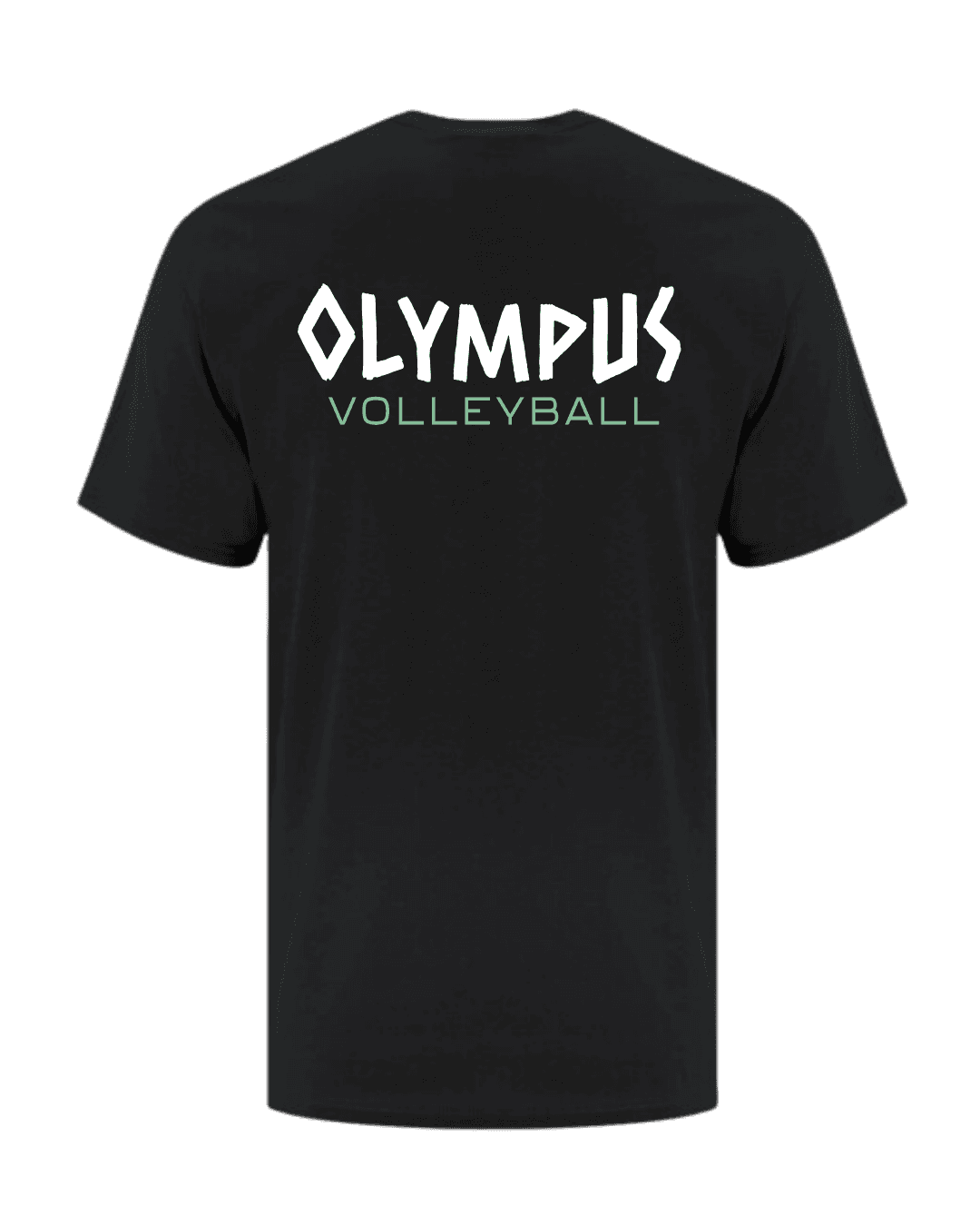 Pantheon T-Shirt — Back